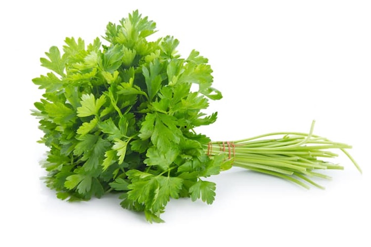 Maydanoz Neden Beyazlar?