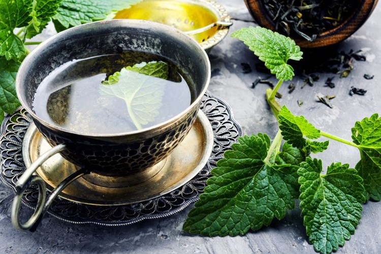 Melisa Çayı Gastrite İyi Gelir Mi?