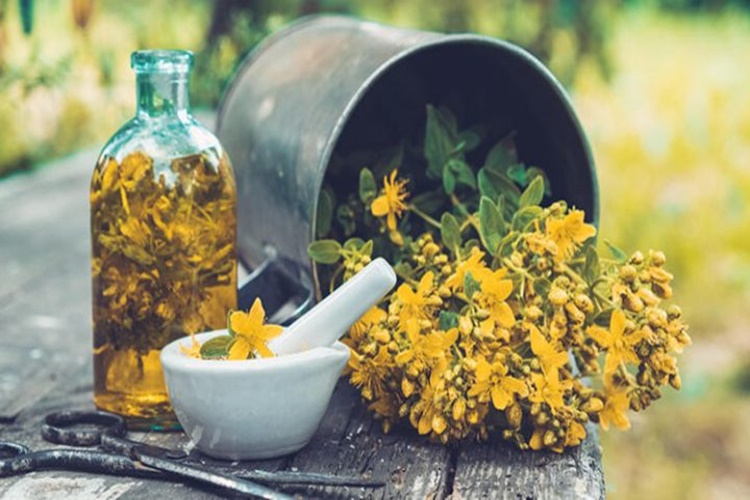 Memeye Kantaron Yağı Sürülür Mü? - Güncel Oku