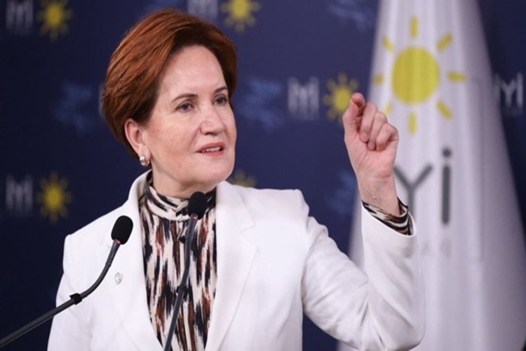 Meral Akşener Hangi Takımlıdır?