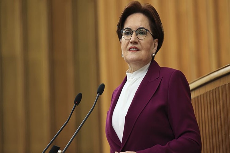 Meral Akşener Kaç Çocuğu Var?