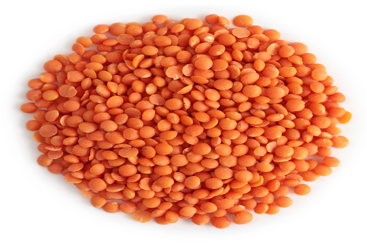 Mercimek Ağaçta Mı Yetişir?