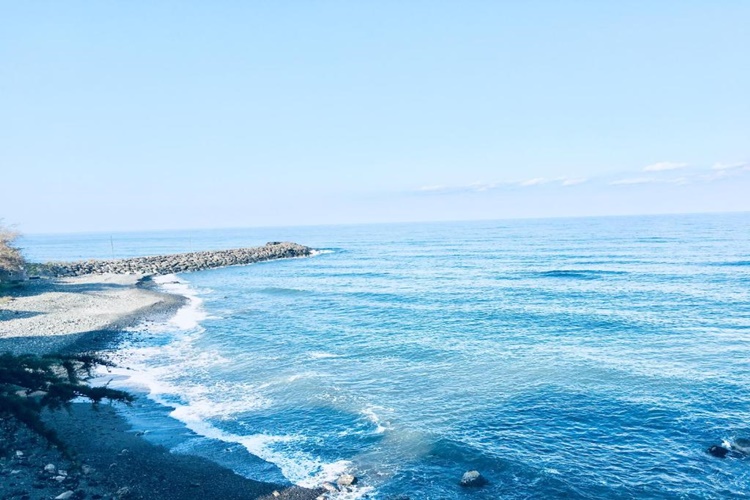 Mersin Denizi Nasıldır?