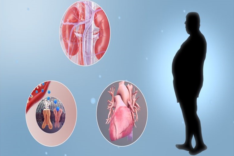 Metabolizma Bozukluğu Nedir?