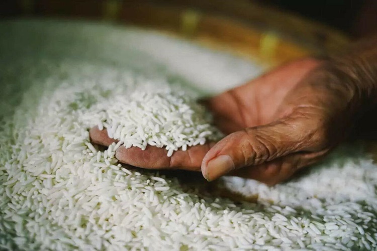 Meyhane Pilavı Hangi Bulgurdan Yapılır?