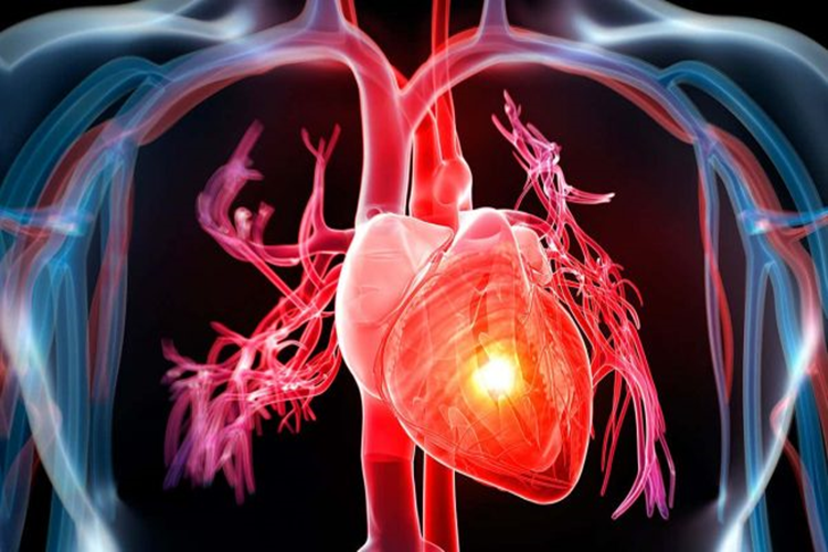Mitral Yetmezlik Engelli Raporu Nasıl Alınır?