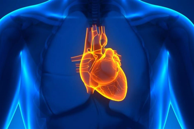 Mitral Yetmezlik İlaçları
