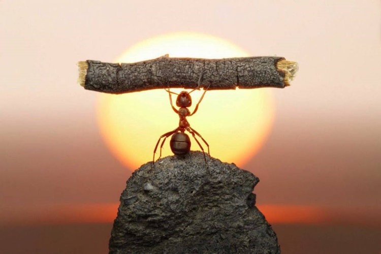 Motivasyon Nedir? 