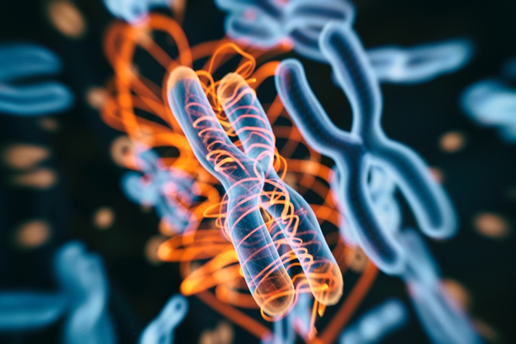 mRNA’da Yıkım Nasıldır?