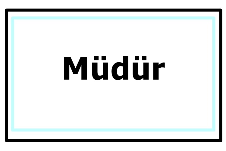 Müdür Argoda Ne Demek?