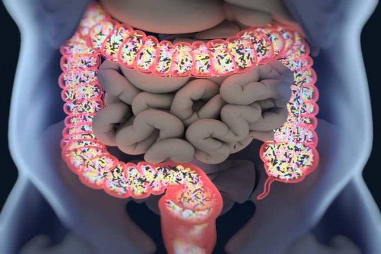 Muhallebi Bağırsakları Temizler Mi?