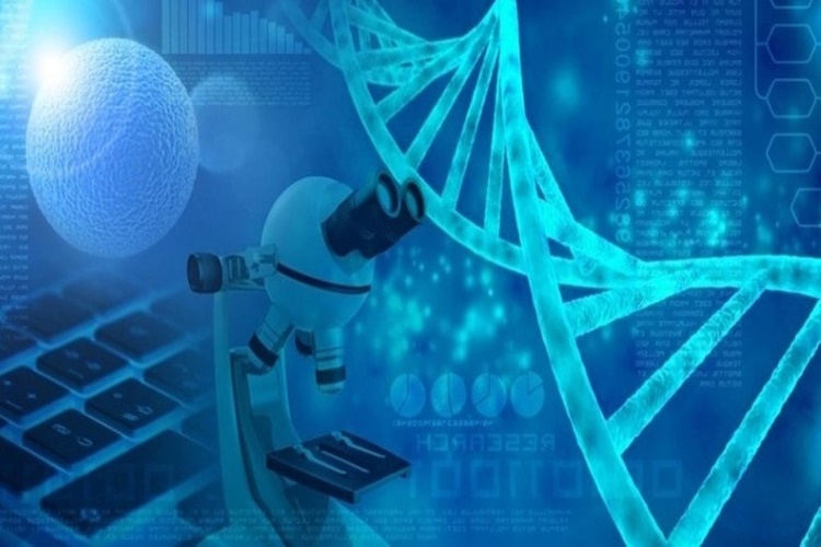 Nanoteknoloji Nerelerde Kullanılır?