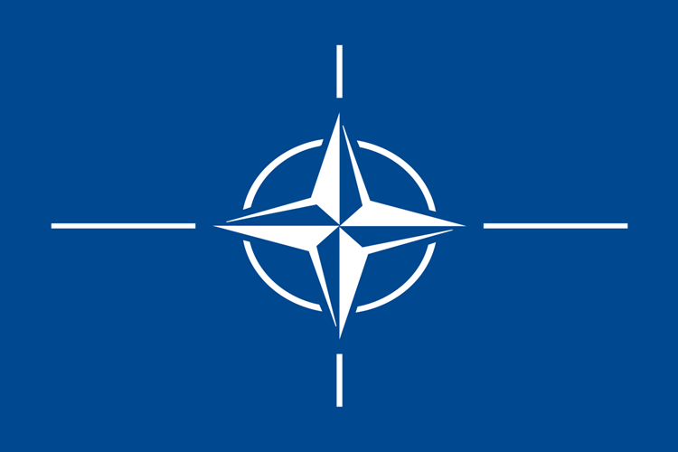 Nato Da Türkiye'yi Temsil Eden İlk Kişi Kimdir?