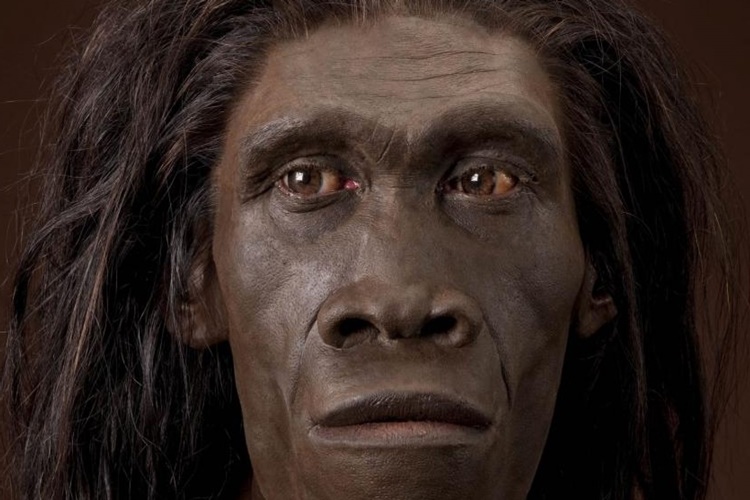 Neandertal Hala Var Mı?