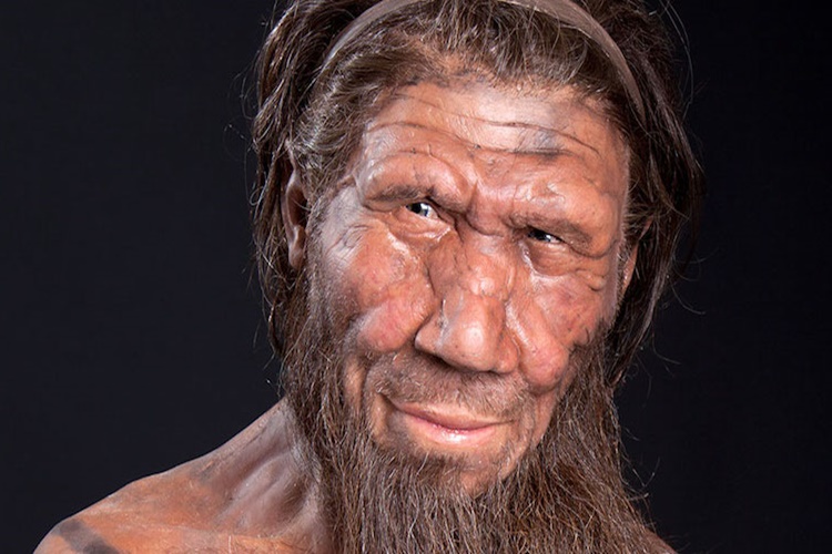 Neandertal Ne Zaman Yaşadı?