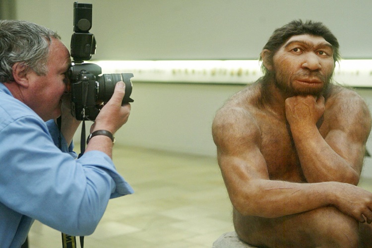 Neandertal Özellikleri Nelerdir?