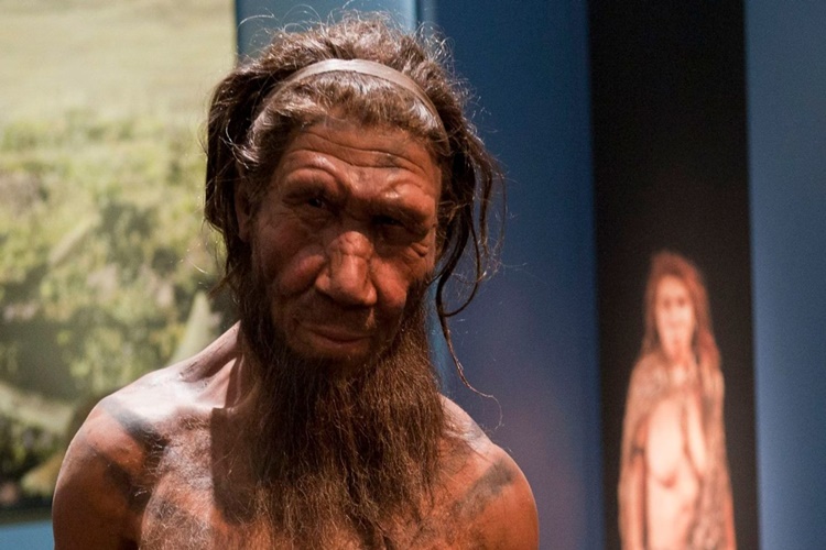 Neandertaller Kuran’da Geçiyor Mu?