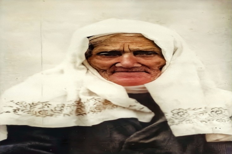 Nene Hatun Hangi Cephede Savaşmıştır?