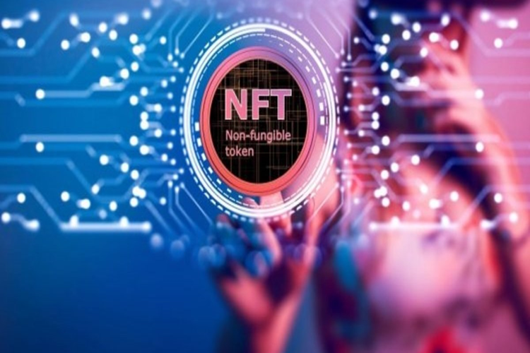 NFT Koleksiyonu Nedir?