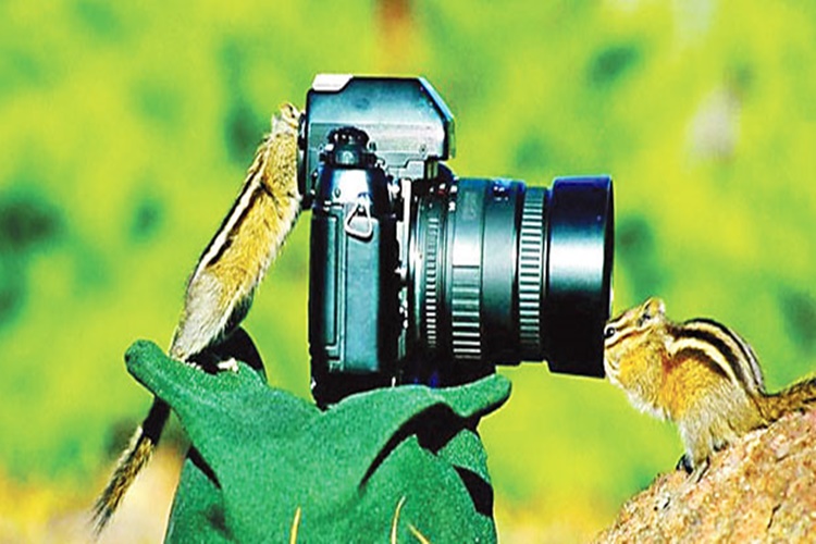 Nikon Aksiyon Dürbünleri Modelleri Nelerdir?