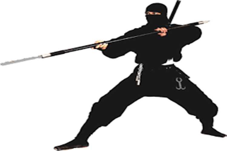 Ninja Gibi Nasıl Dövüşülür?