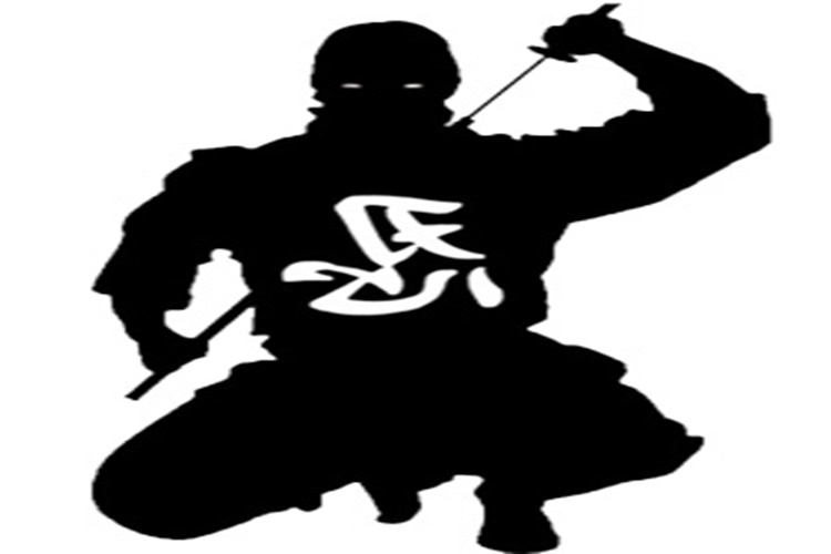 Ninjutsu Hangi Ülkenin Dövüş Sanatı?