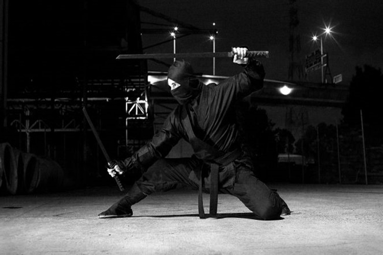 Ninjutsu Nedir?