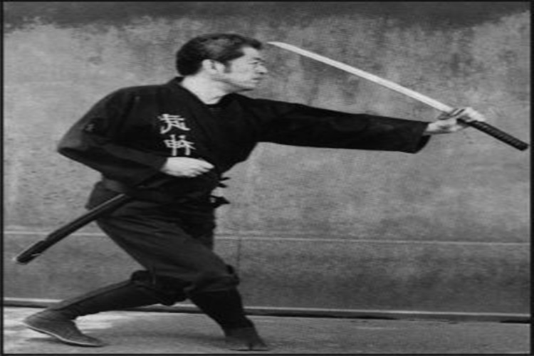 Ninjutsu Teknikleri Nelerdir? 