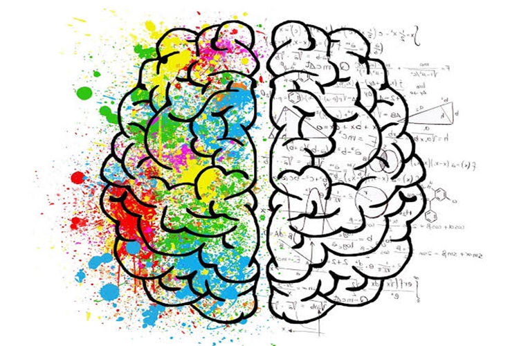 NLP İle Hafıza Teknikleri Nedir?
