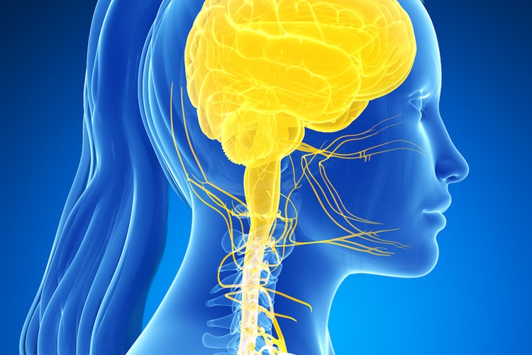 NMO Hastalığının Tedavisi Var Mı?