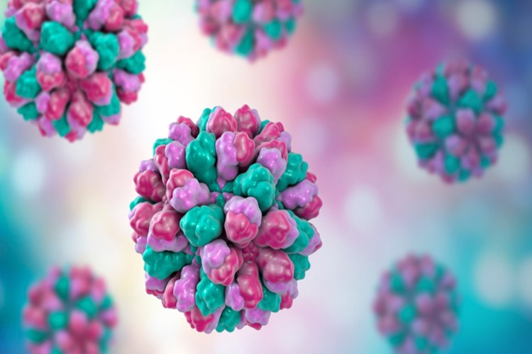  Norovirus Nasıl Tedavi Edilir?
