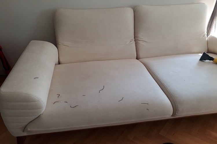 Nubuk Koltuktan Keçeli Kalem Lekesi Nasıl Çıkar?