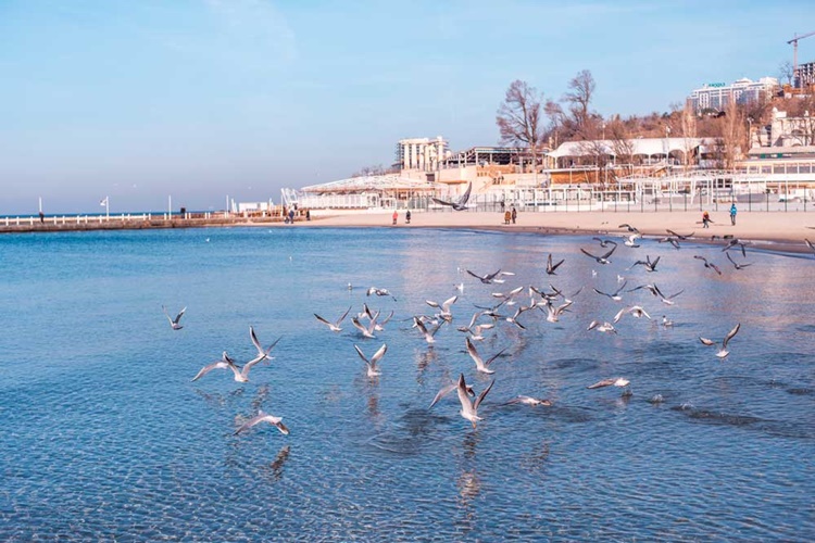 Odessa Hakkında Merak Edilenler 