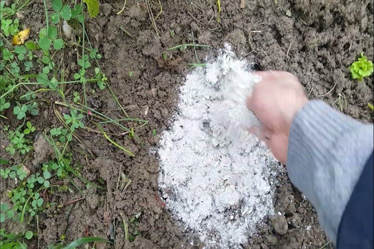 Odun Külü Çiçeklere İyi Gelir Mi?