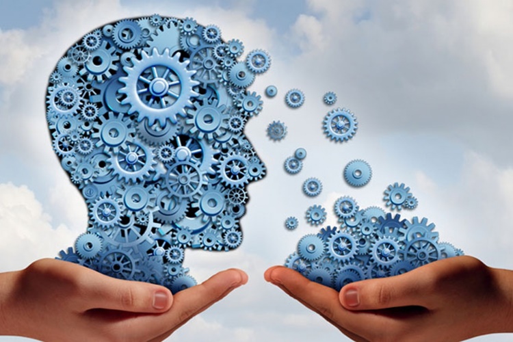Öğrenme Psikolojisi Hakkında Bilinmesi Gerekenler Nelerdir?