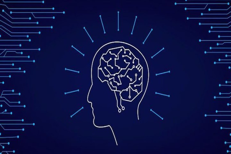 Olgunlaşma Kuramı Eleştirisi Nedir?