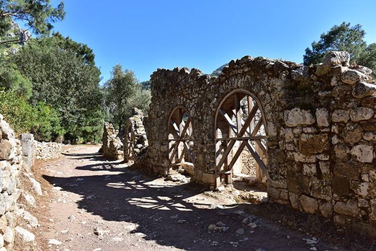 Olimpos Müze Kart Geçerli Mi?