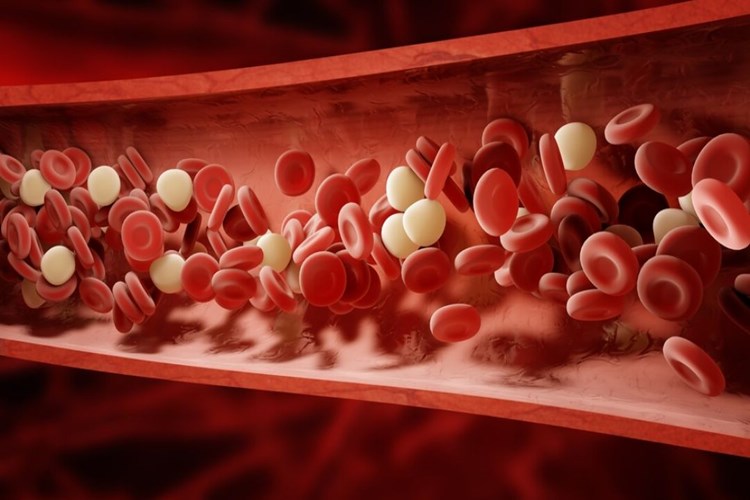 Omega 3 Kan Sulandırır Mı?