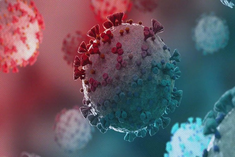 Omicron Kaç Gün Yaşar? Güncel Oku