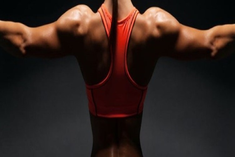 omuz genisletme icin ne yapilmali guncel oku omuz genisletme icin ne yapilmali guncel oku