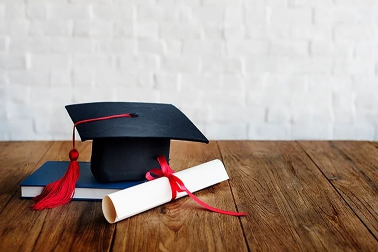 Önlisans Diplomamı Kaybettim Ne Yapmalıyım?