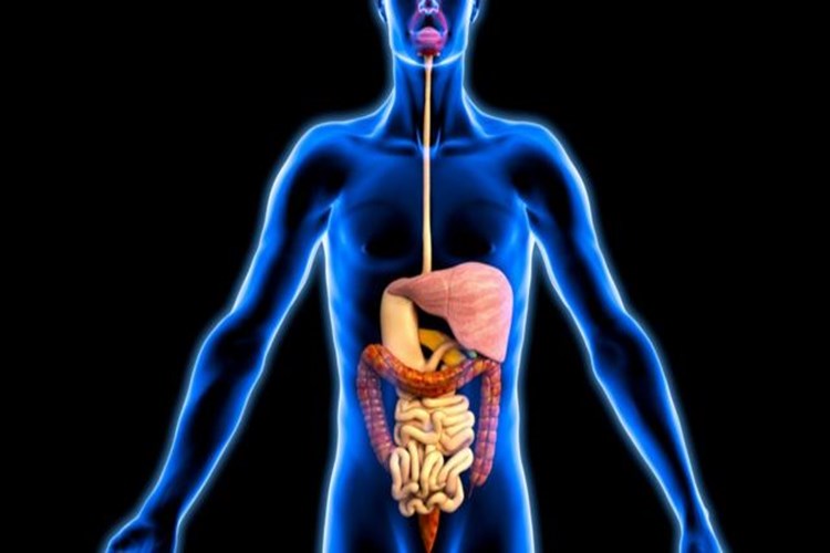 Organ Yetmezliğine Ne İyi Gelir?