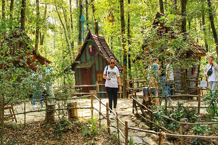 Ormanya Hangi Gün Kapalı?