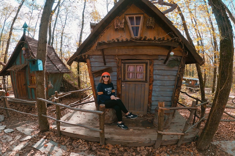 Ormanya Hangi Şehirde?