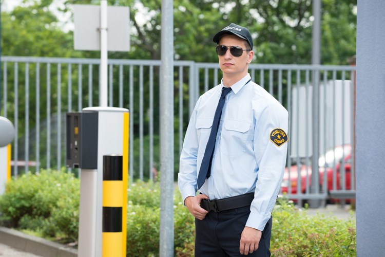 Özel Güvenlik Görevlisi Ceza Yazabilir Mi?