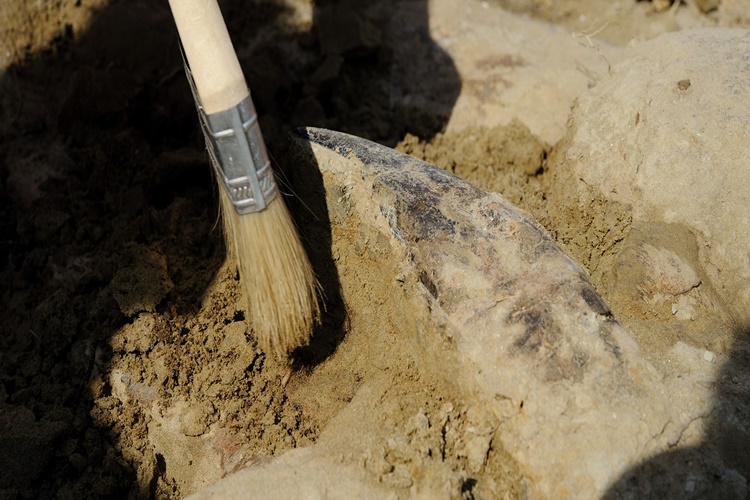 Paleografya Hakkında Bilinmesi Gerekenler Nelerdir?