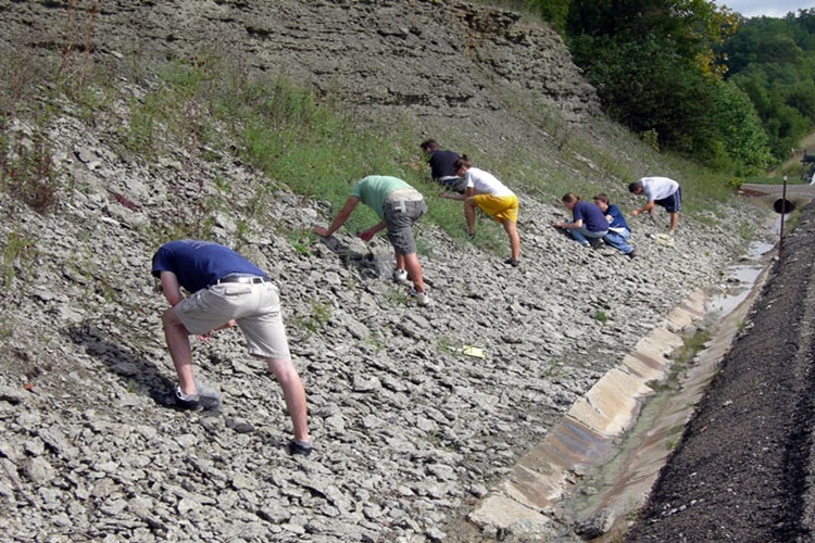 Paleografya İnceleme Alanı Nedir?