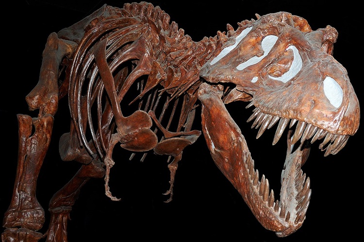 Paleografya Sözlük Anlamı Nedir?
