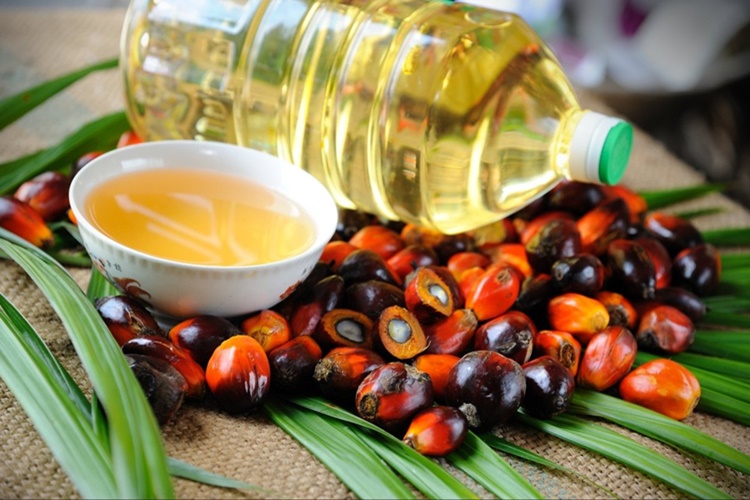 Palm Yağı Vegan Mı?