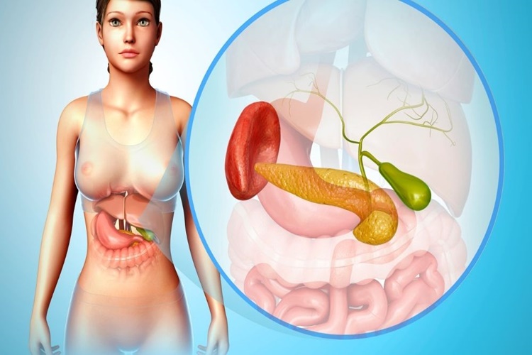 Pankreas Ağrısı Nasıl Tedavi Edilir?